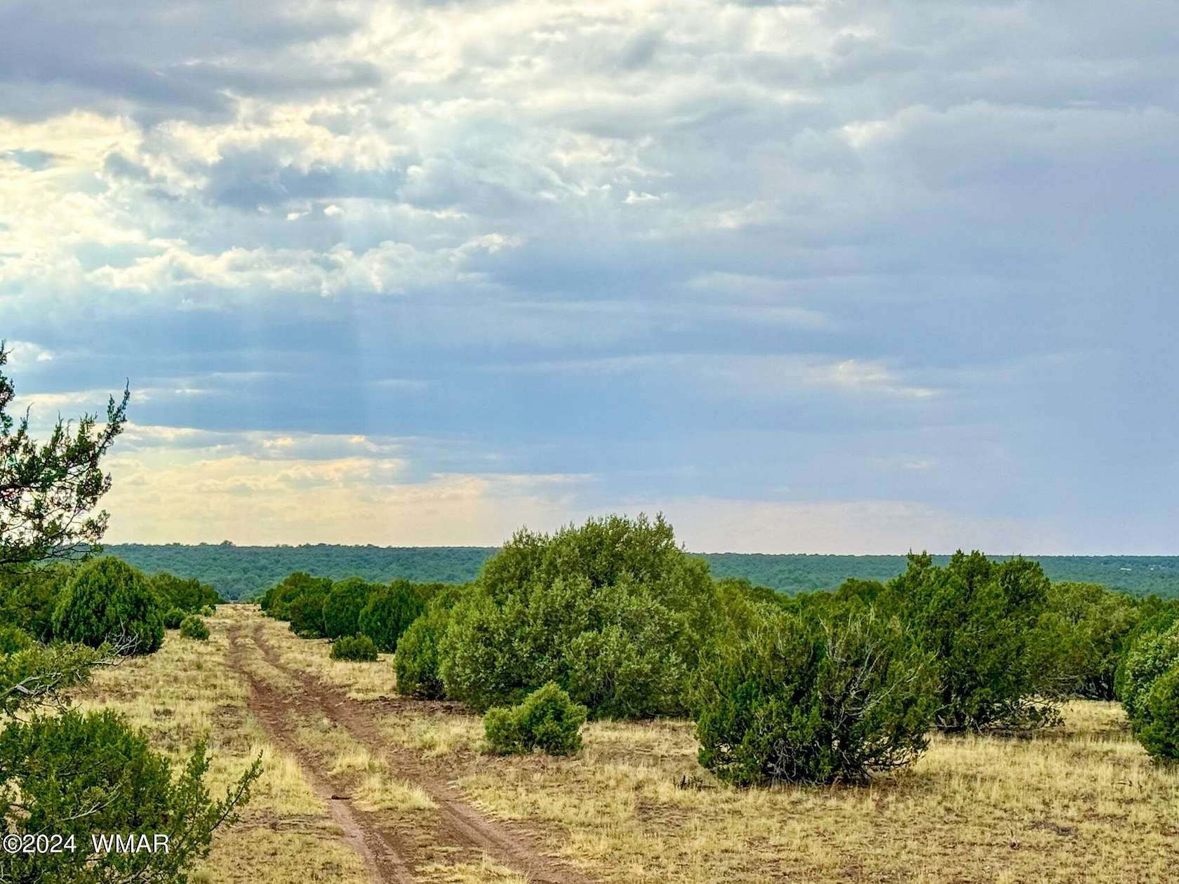 8.16 Acres of Land for Sale in Show Low, Arizona