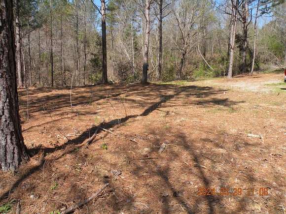1.2 Acres of Residential Land for Sale in Cordova, Alabama