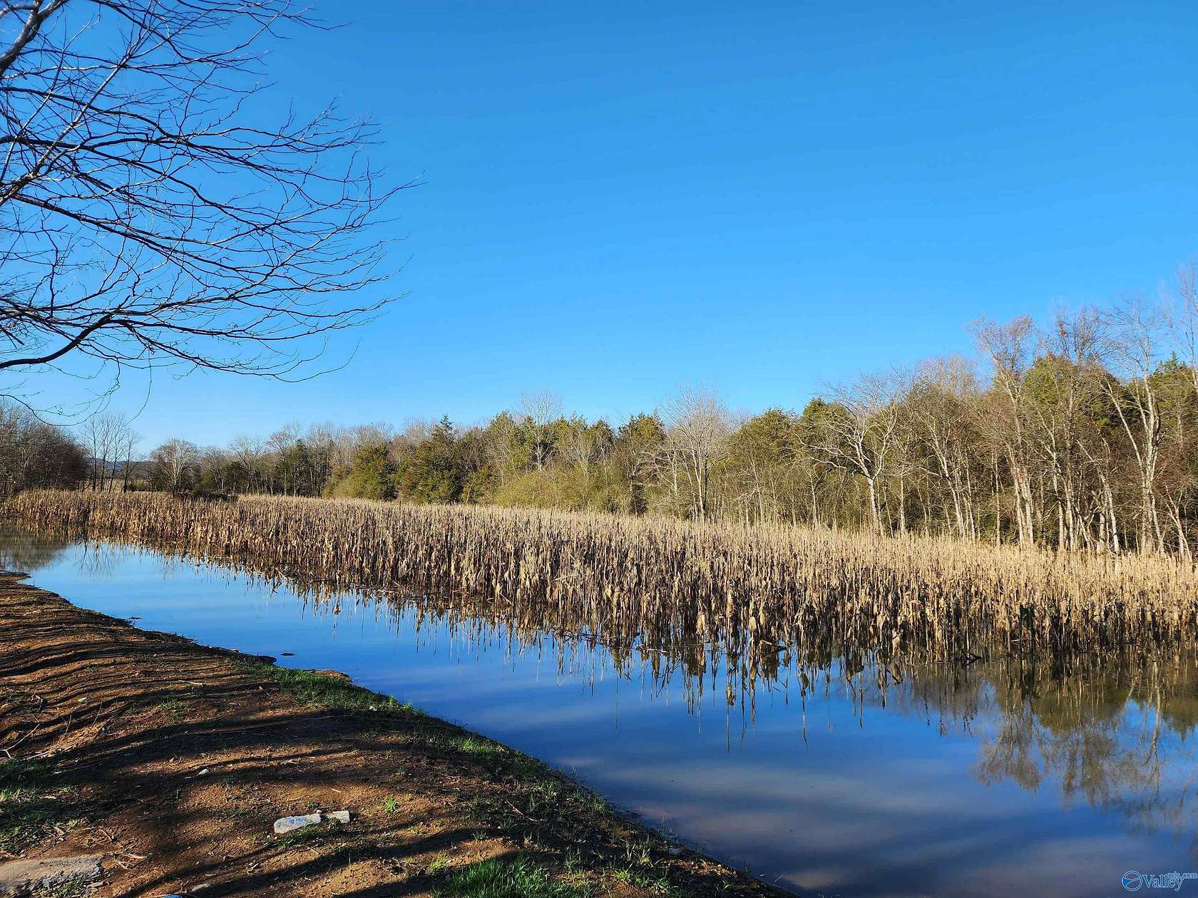 35 Acres of Recreational Land for Sale in Scottsboro, Alabama