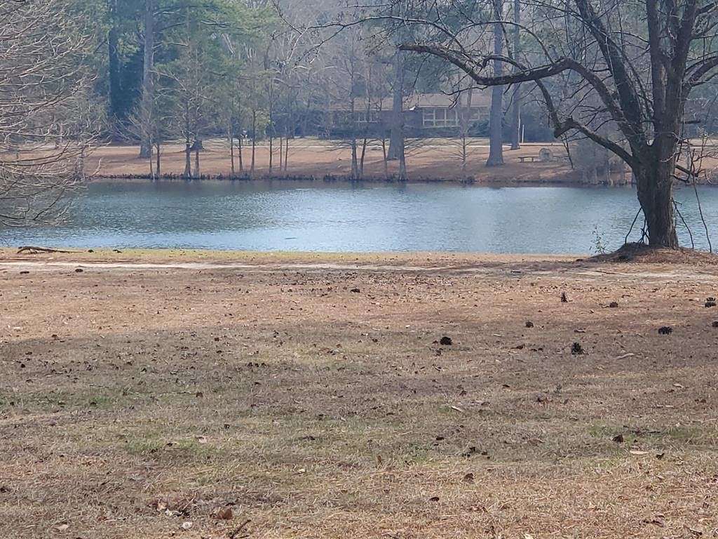0.8 Acres of Residential Land for Sale in Sumter, South Carolina