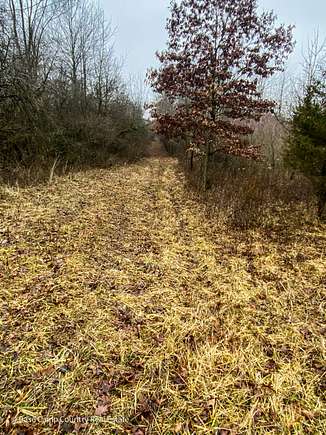 61 Acres of Recreational Land for Sale in Portland, Indiana