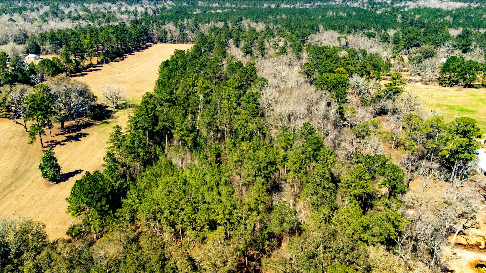 13.52 Acres of Land for Sale in Havana, Florida