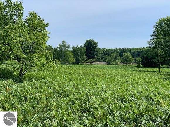 7.5 Acres of Land for Sale in Mesick, Michigan
