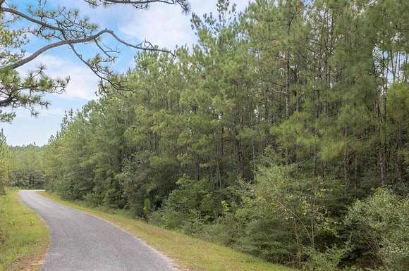 13.5 Acres of Land for Sale in Poplarville, Mississippi