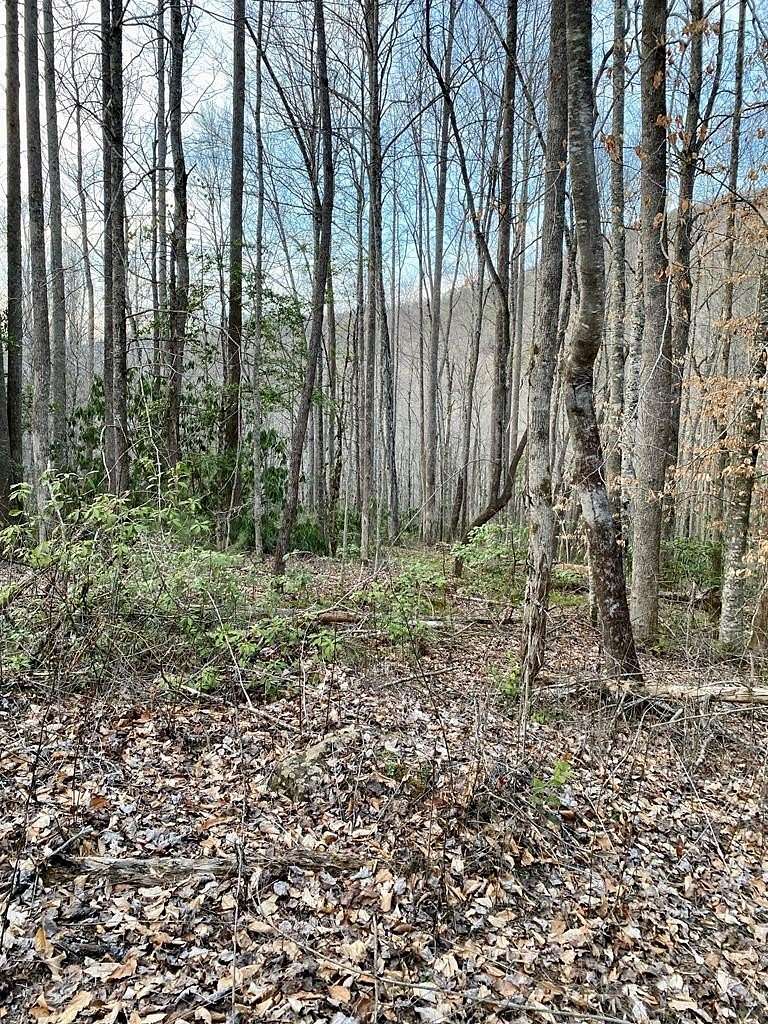 2.59 Acres of Residential Land for Sale in Robbinsville, North Carolina