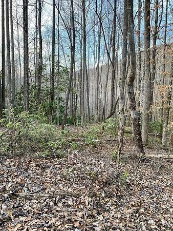2.59 Acres of Residential Land for Sale in Robbinsville, North Carolina