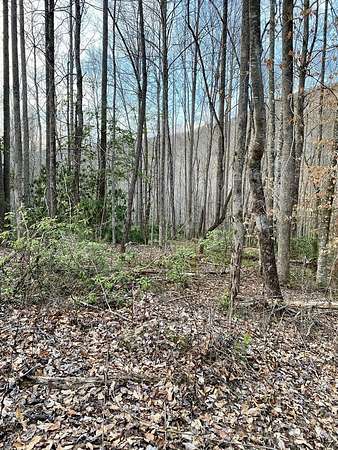 2.59 Acres of Residential Land for Sale in Robbinsville, North Carolina
