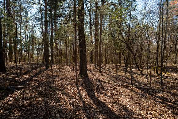 17.3 Acres of Recreational Land for Sale in Georgetown, Tennessee