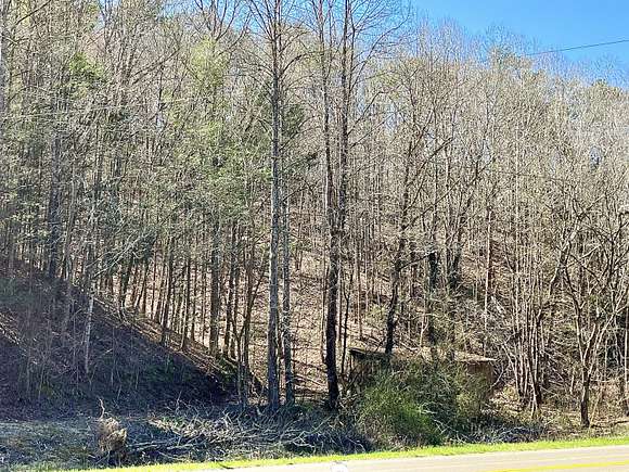 12 Acres of Land for Sale in Del Rio, Tennessee
