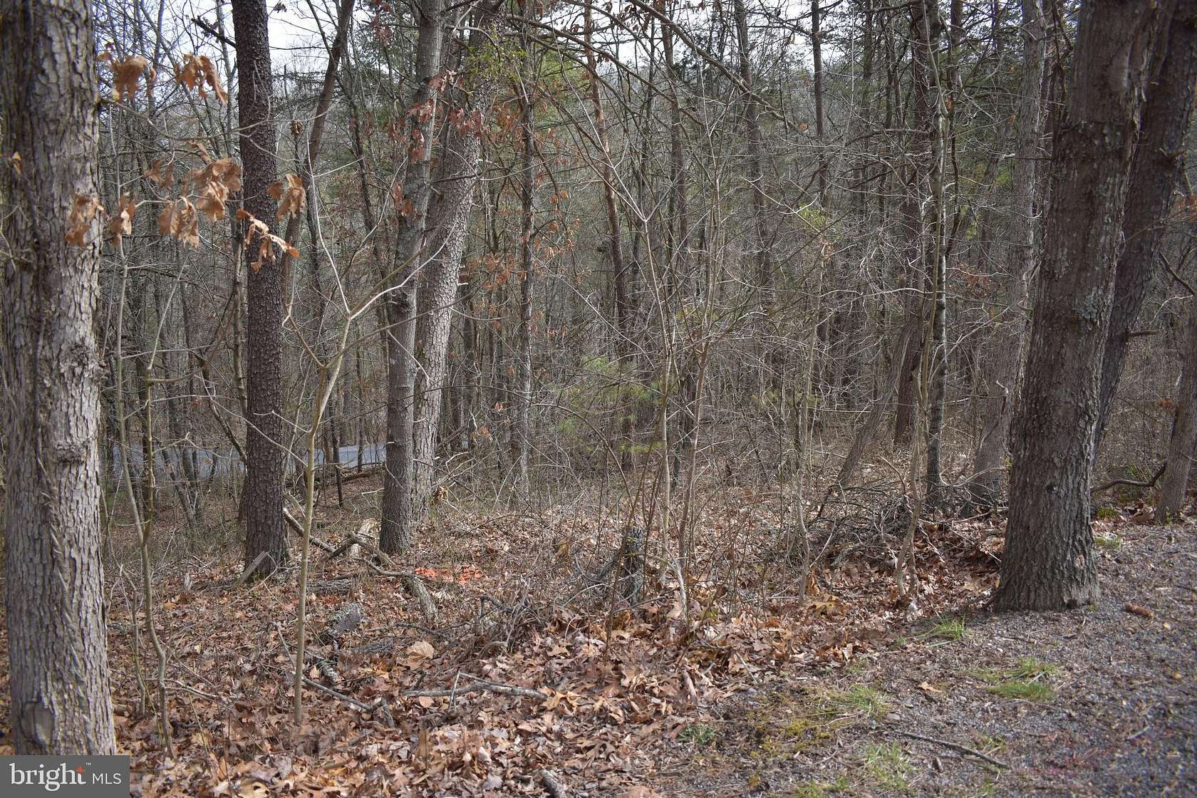 0.29 Acres of Land for Sale in Mount Jackson, Virginia