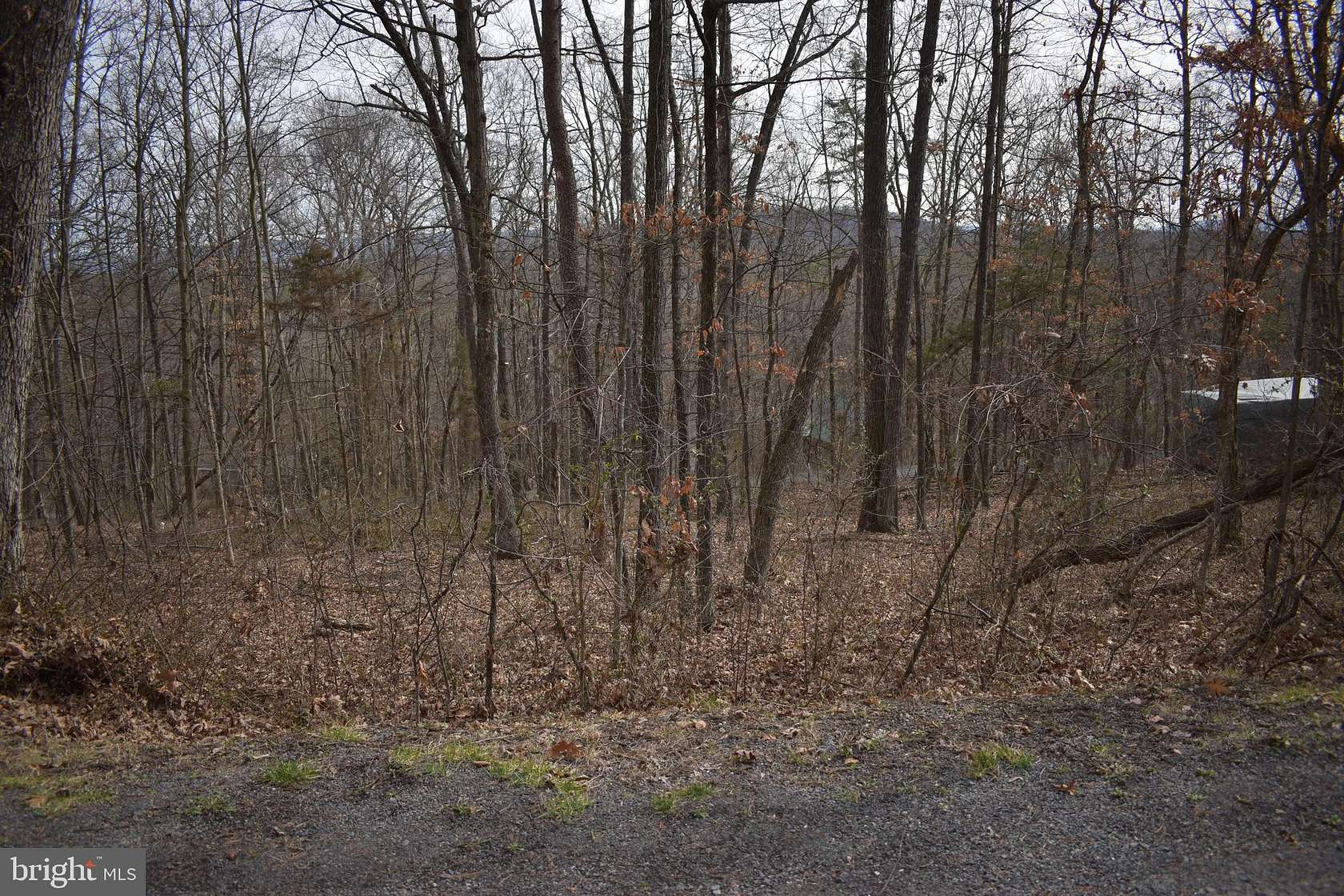 0.3 Acres of Land for Sale in Mount Jackson, Virginia