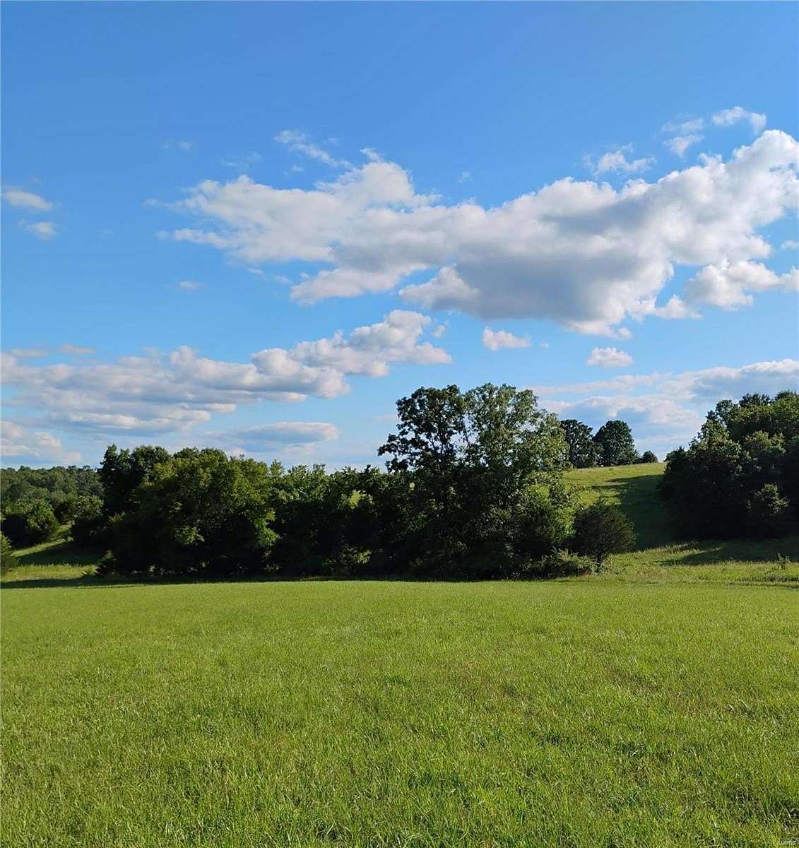 67.8 Acres of Agricultural Land for Sale in Salem, Missouri