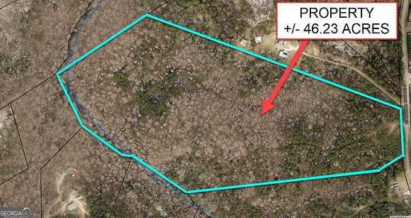 46.2 Acres of Land for Sale in Loganville, Georgia