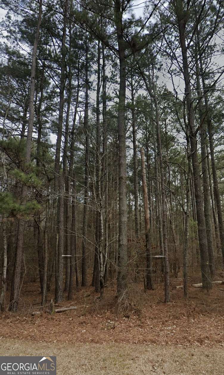 1.2 Acres of Residential Land for Sale in Oxford, Georgia