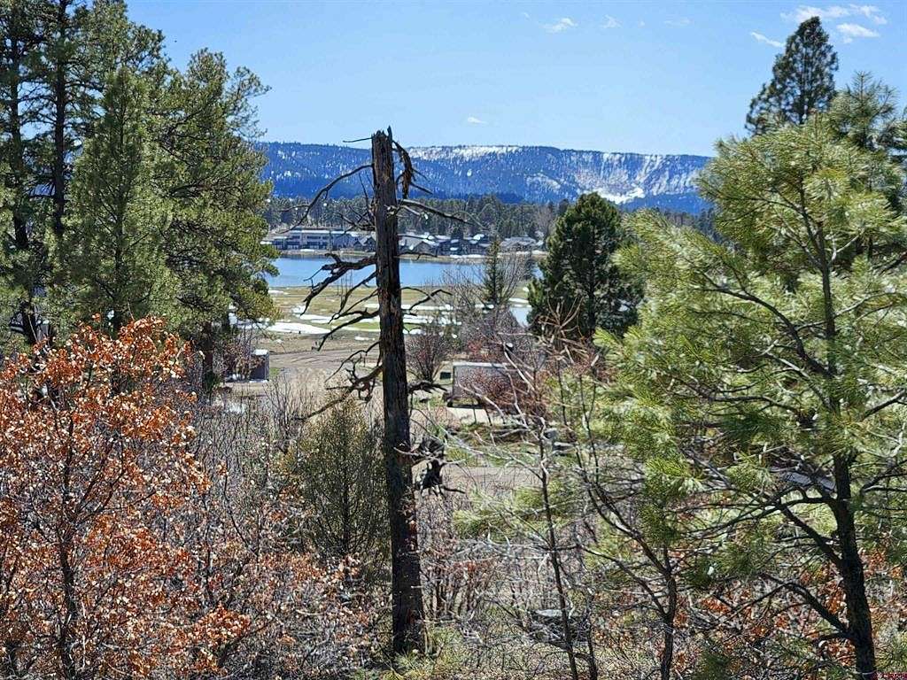 0.47 Acres of Residential Land for Sale in Pagosa Springs, Colorado