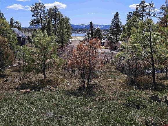 0.24 Acres of Residential Land for Sale in Pagosa Springs, Colorado