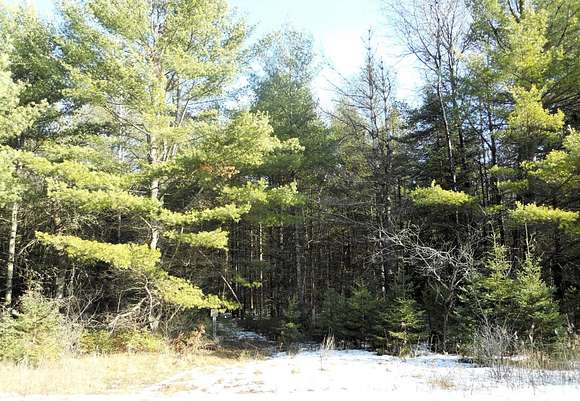 10.1 Acres of Recreational Land for Sale in Rhinelander, Wisconsin
