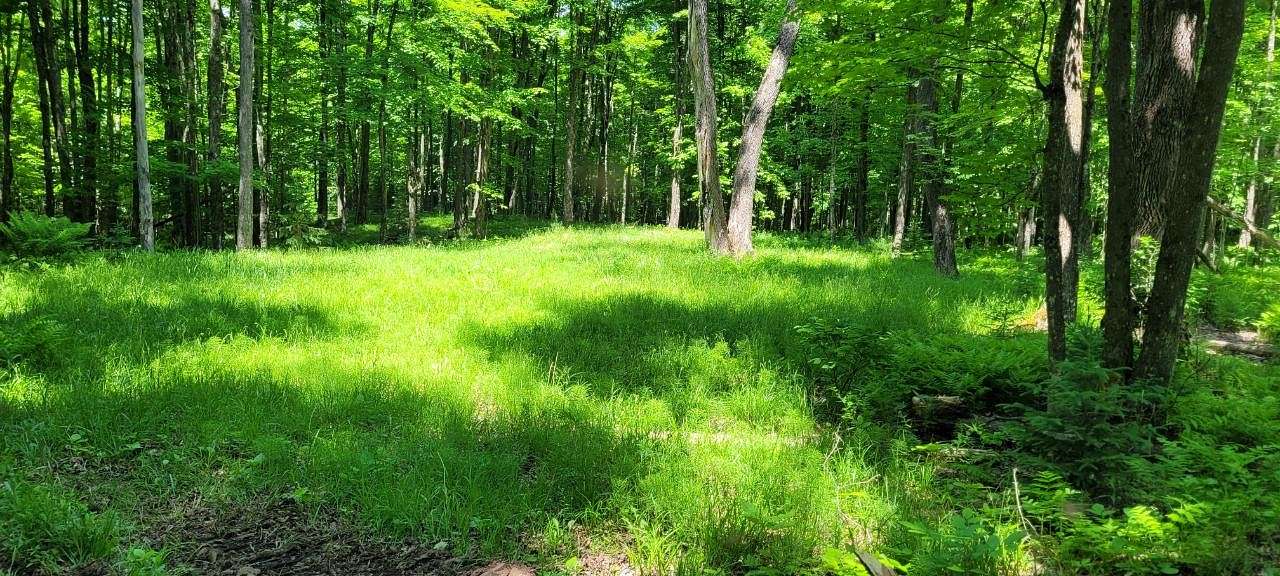 10.2 Acres of Recreational Land for Sale in Presque Isle, Wisconsin