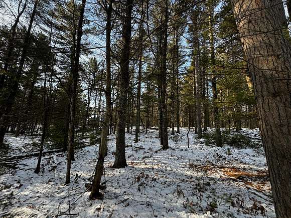 0.66 Acres of Land for Sale in Minocqua, Wisconsin