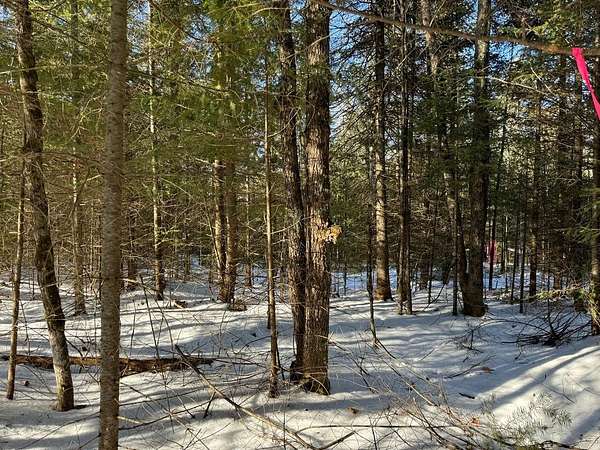 2.17 Acres of Land for Sale in Mercer, Wisconsin