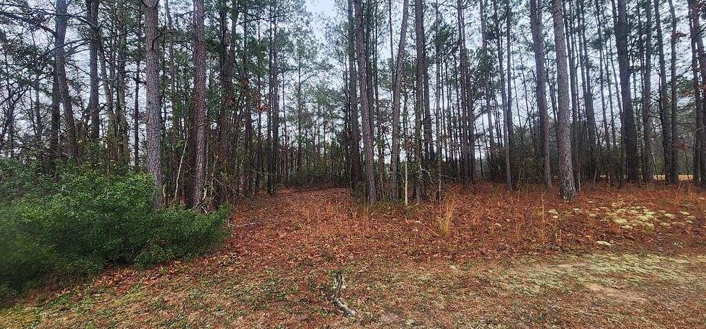 0.62 Acres of Residential Land for Sale in Manning, South Carolina
