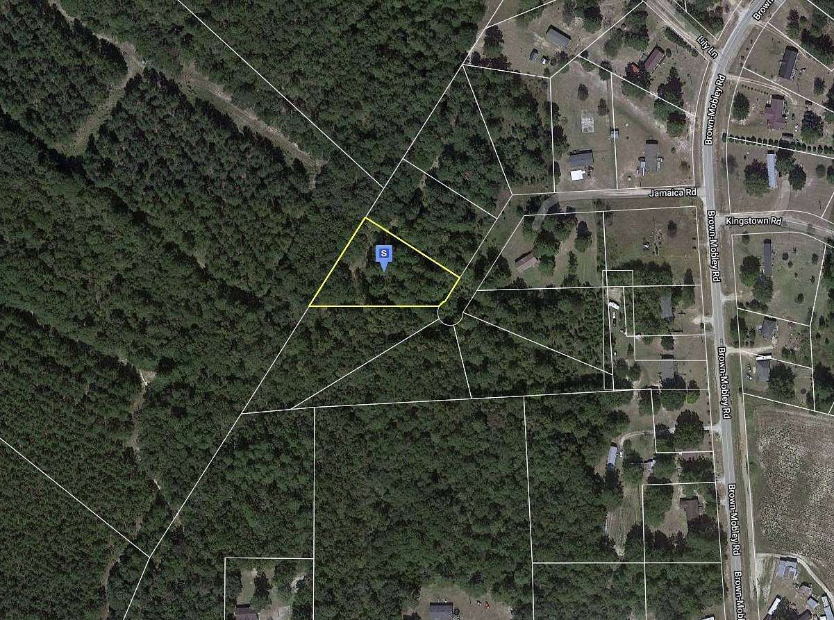 1 Acre of Residential Land for Sale in Sardis, Georgia