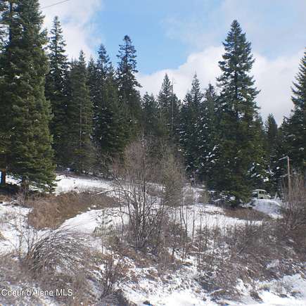 8.6 Acres of Land for Sale in St. Maries, Idaho