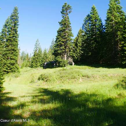 8.55 Acres of Land for Sale in St. Maries, Idaho