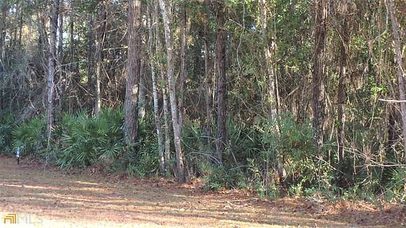 1.2 Acres of Residential Land for Sale in Woodbine, Georgia