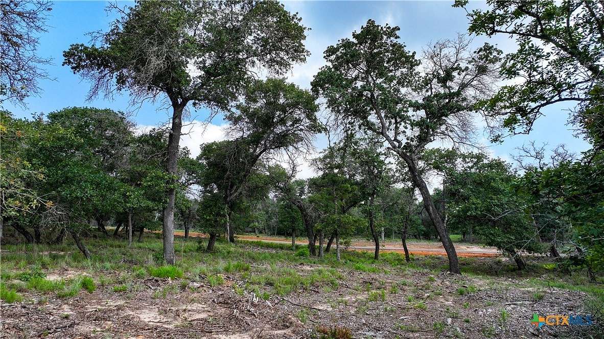 10.01 Acres of Recreational Land for Sale in Seguin, Texas