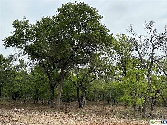 10 Acres of Recreational Land for Sale in Seguin, Texas