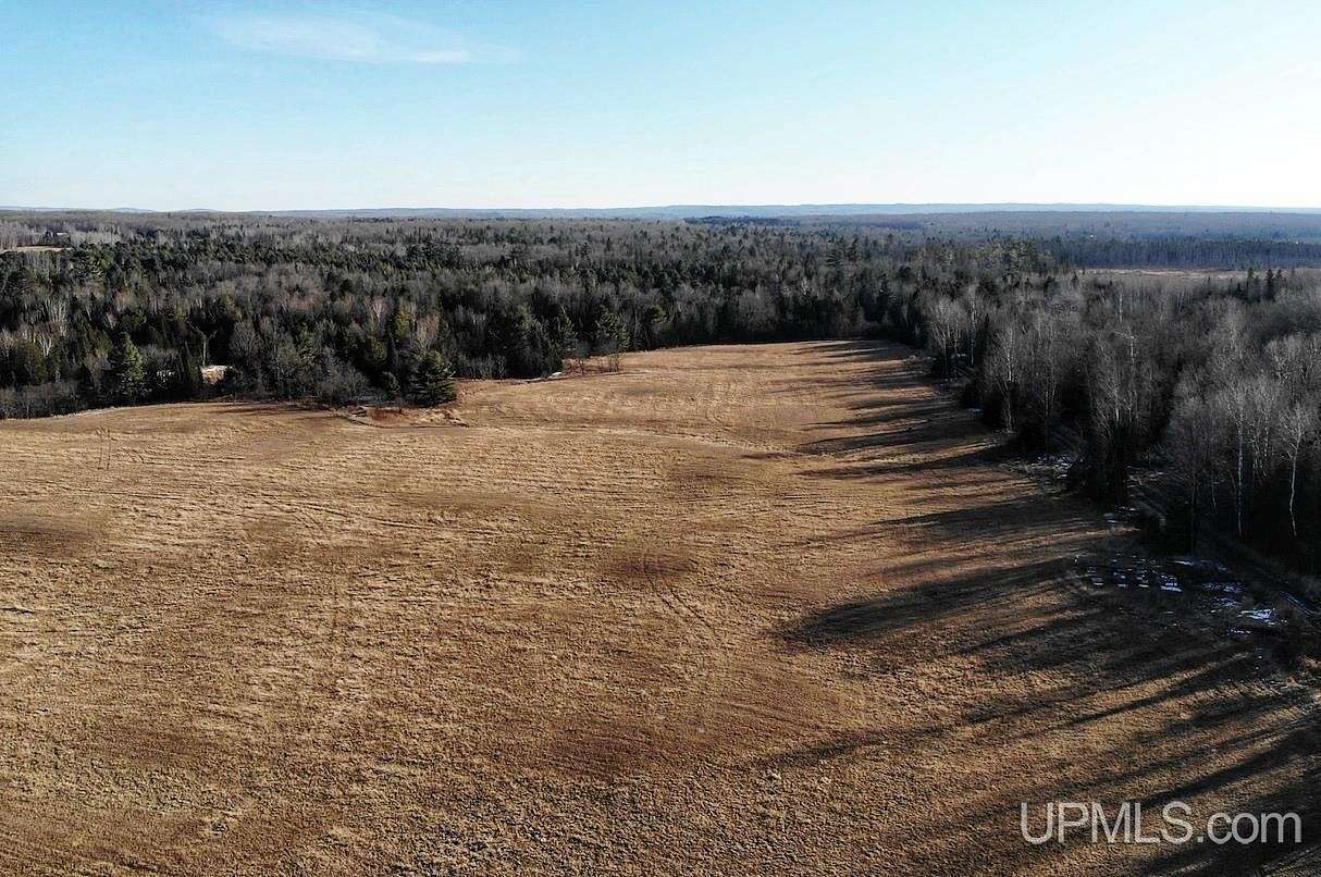 73 Acres of Land for Sale in Baraga, Michigan
