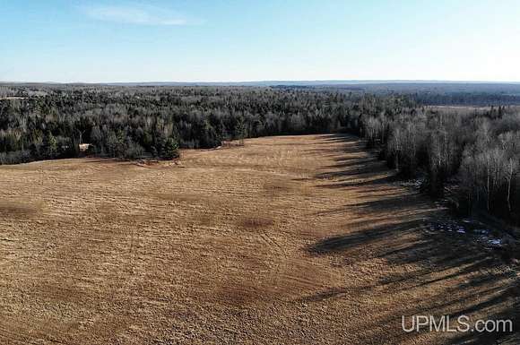 73 Acres of Land for Sale in Baraga, Michigan