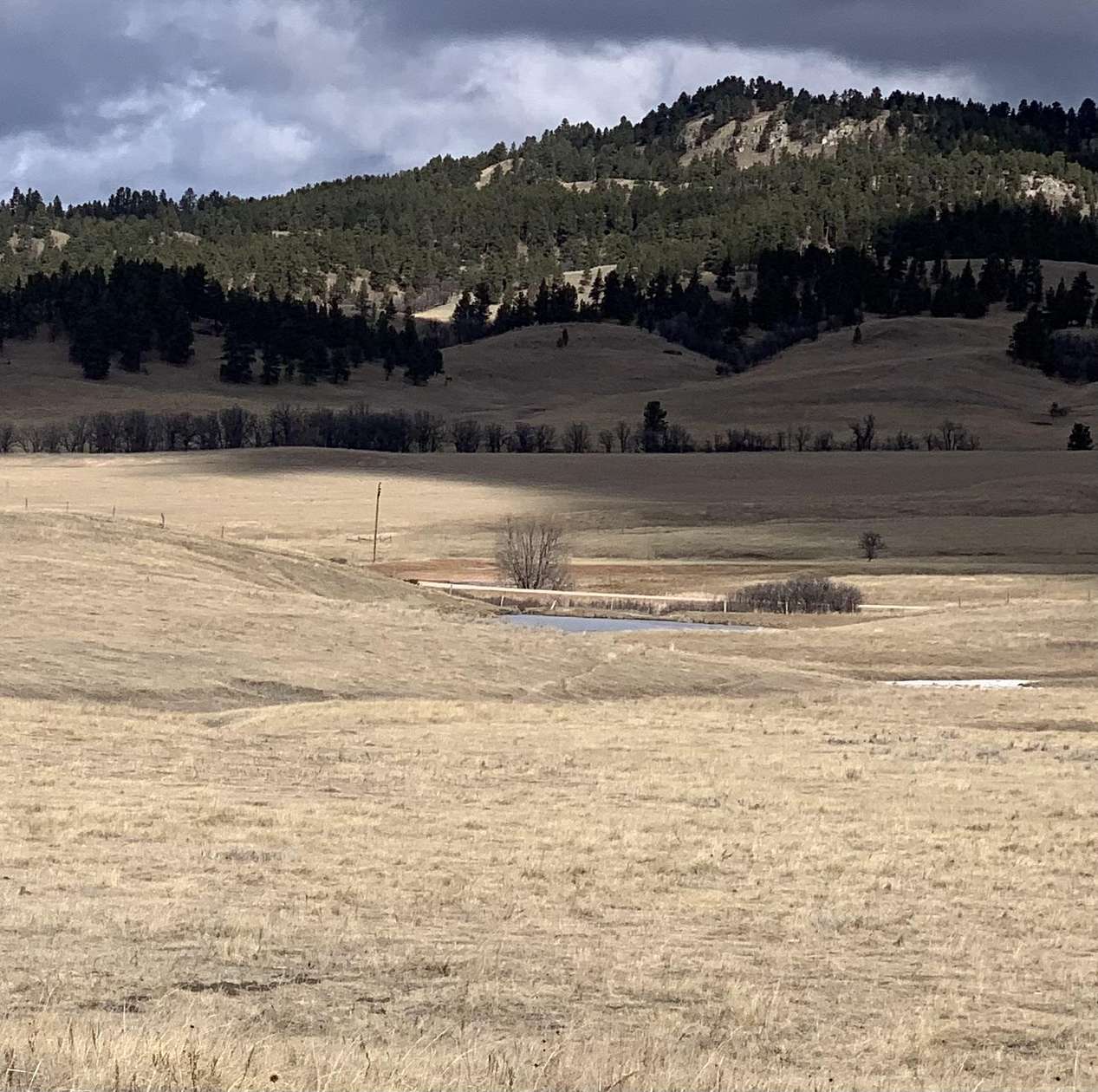 41.3 Acres of Land for Sale in Sundance, Wyoming