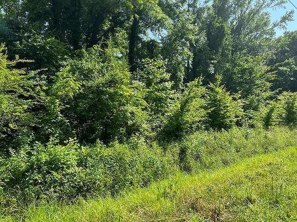 0.13 Acres of Commercial Land for Sale in Cape Charles, Virginia