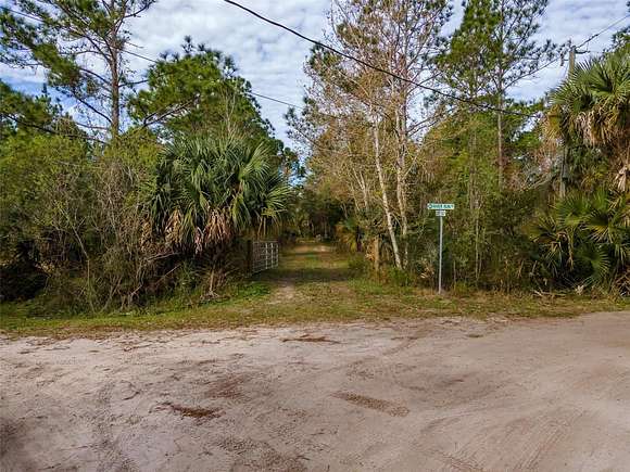 10 Acres of Residential Land for Sale in Osteen, Florida