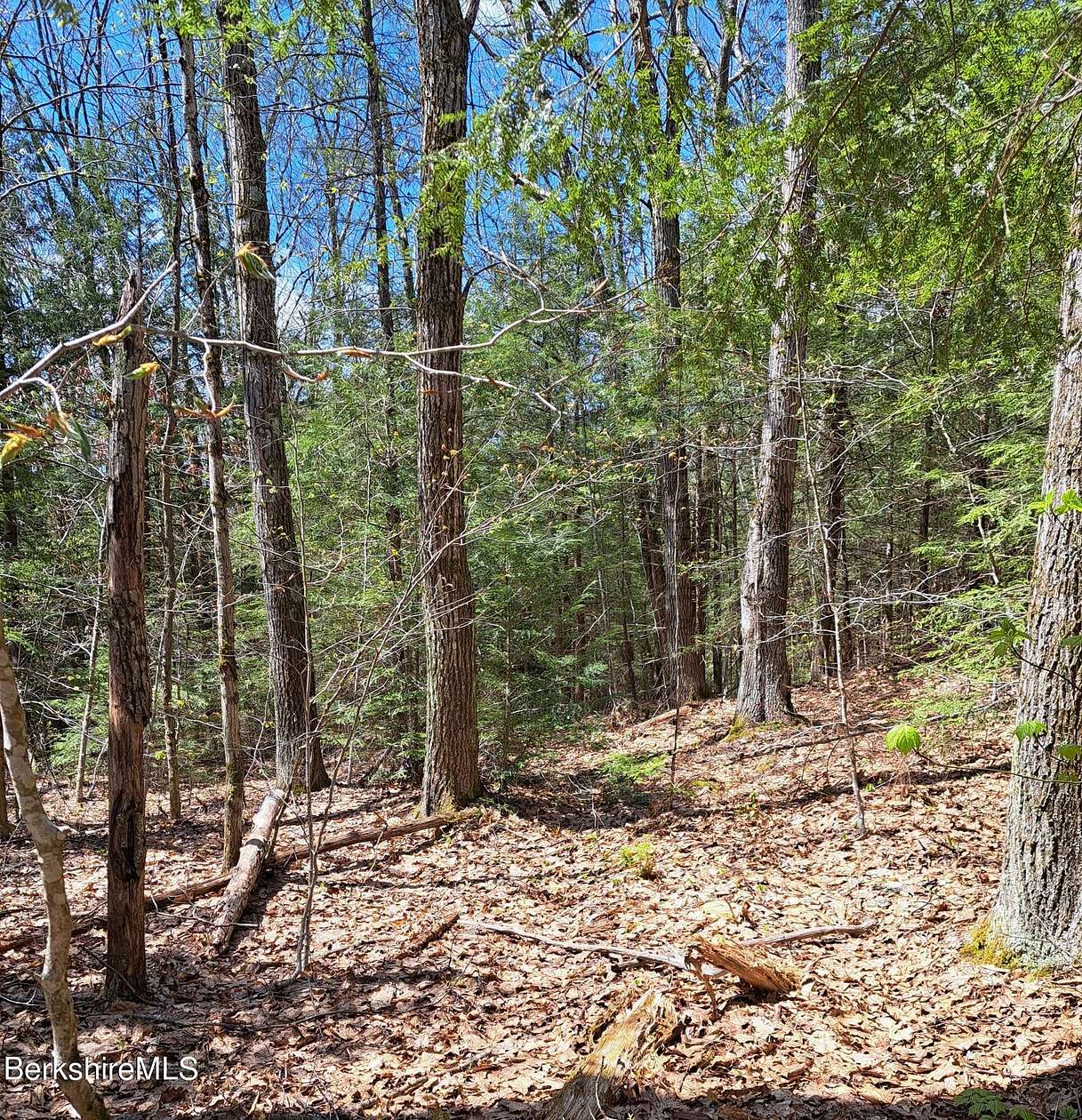 1.03 Acres of Residential Land for Sale in Otis, Massachusetts