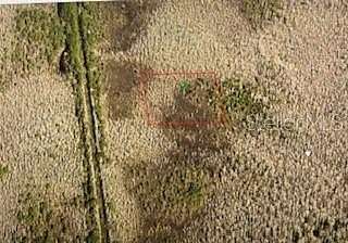 2.5 Acres of Residential Land for Sale in DeLand, Florida