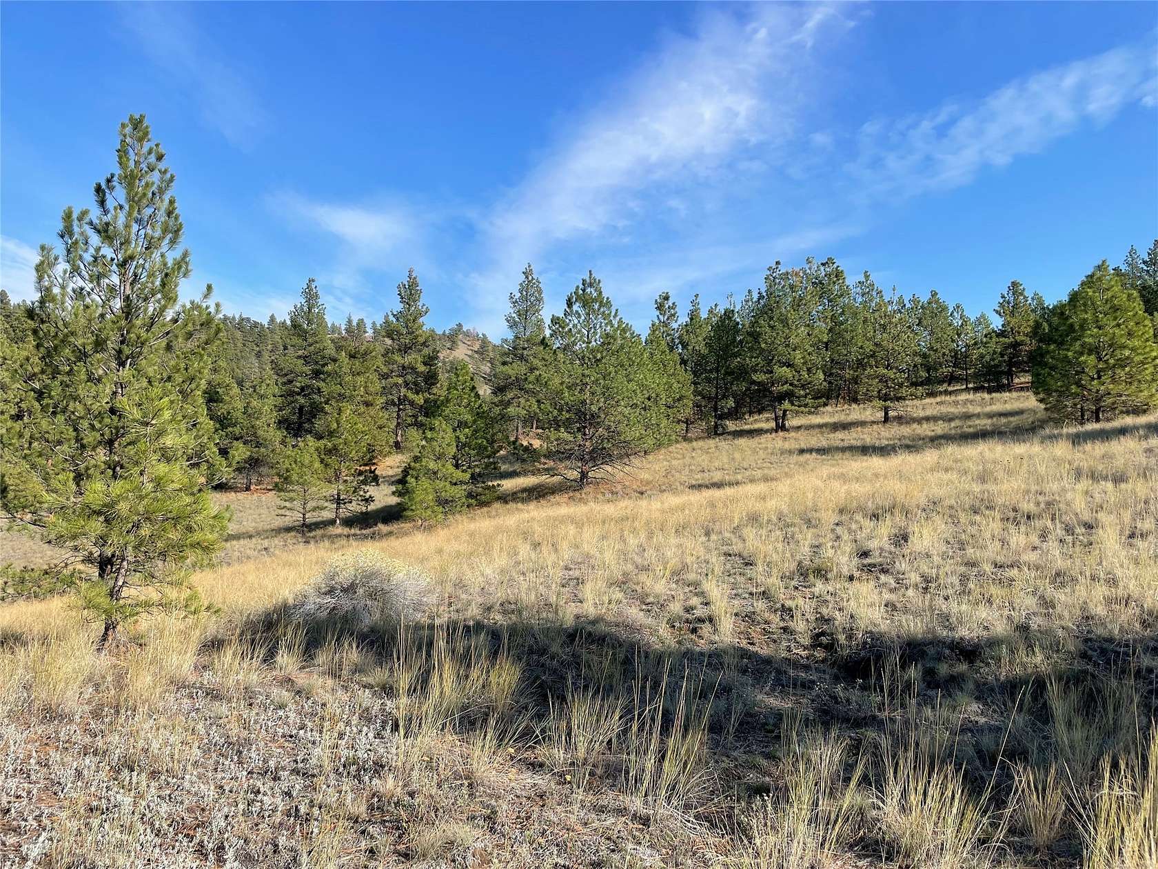 15.3 Acres of Recreational Land for Sale in Cascade, Montana