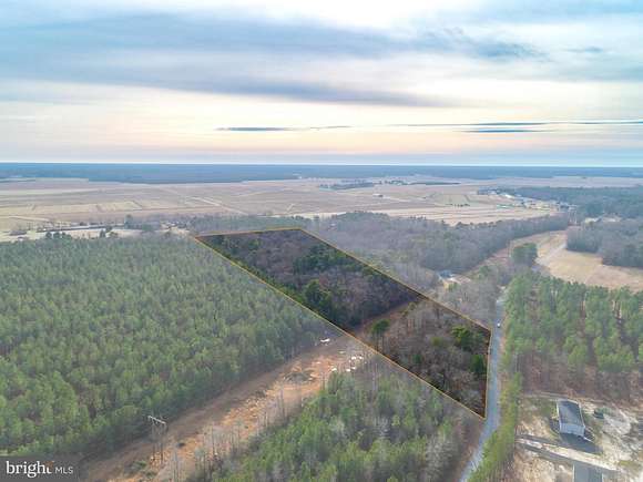 9.3 Acres of Land for Sale in Dagsboro, Delaware