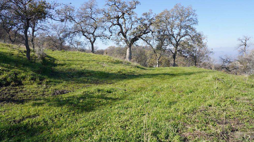 165 Acres of Agricultural Land for Sale in Sanger, California