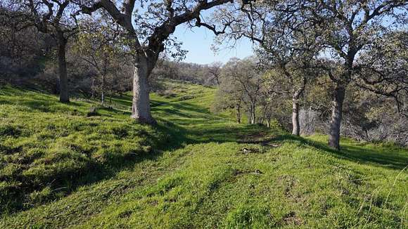 163 Acres of Agricultural Land for Sale in Sanger, California