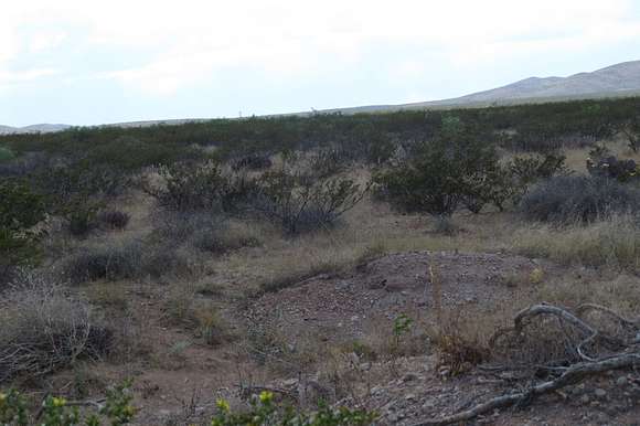 120 Acres of Land for Sale in Columbus, New Mexico