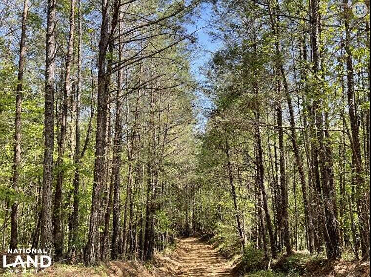 126 Acres of Recreational Land for Sale in Adger, Alabama