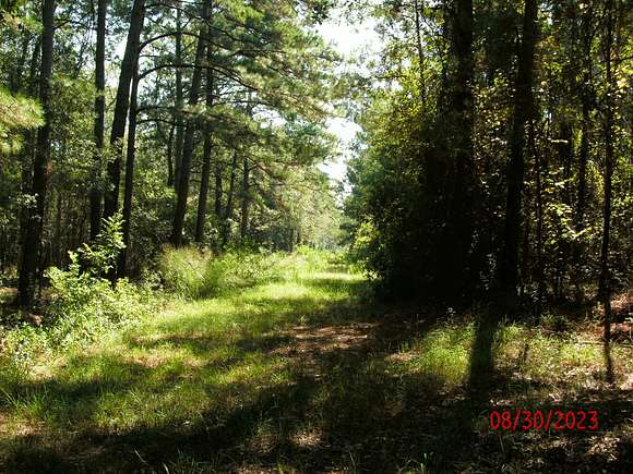 80 Acres of Recreational Land for Sale in Abita Springs, Louisiana