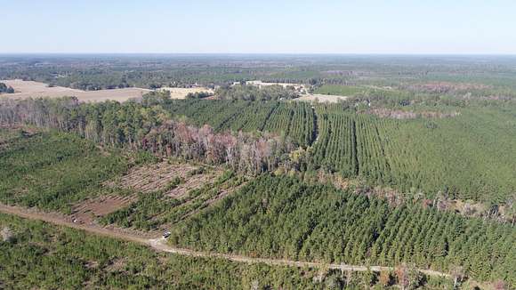 246 Acres of Recreational Land for Sale in Pembroke, Georgia