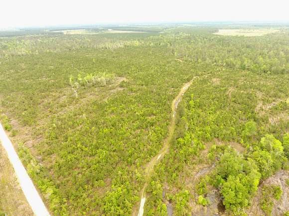 680 Acres of Land for Sale in DeQuincy, Louisiana