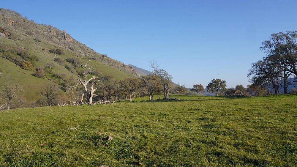 162 Acres of Agricultural Land for Sale in Sanger, California