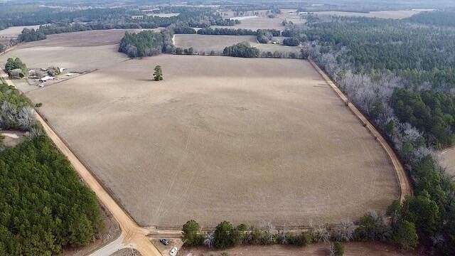 37 Acres of Agricultural Land for Sale in Wagener, South Carolina