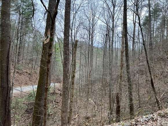 0.69 Acres of Residential Land for Sale in Sevierville, Tennessee